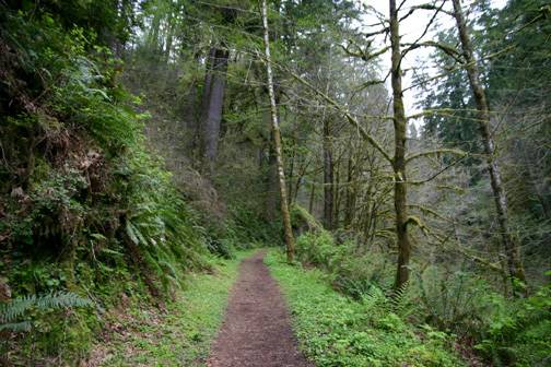 Golden and Silver Falls State Natural Area (4/20/2006 - Credits: Matt Petras)