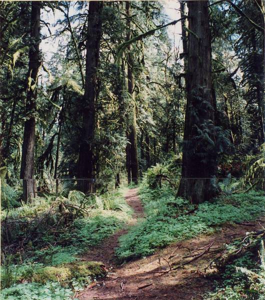 Oxbow Park (7/28/2006 2:27:03 PM)