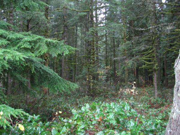 Oxbow Park (11/3/2008 - Credits: Bob Schmaling)
