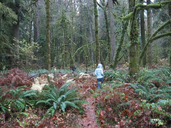 Oxbow Park (11/3/2008 - Credits: Bob Schmaling)