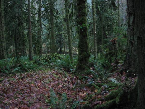 Oxbow Park (11/3/2008 - Credits: Bob Schmaling)
