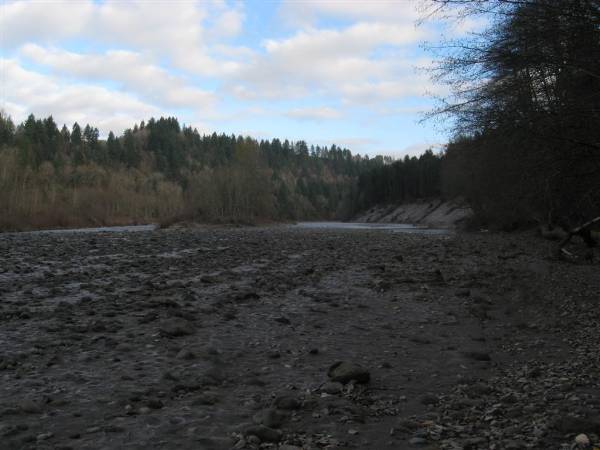 Oxbow Park (1/29/2010)