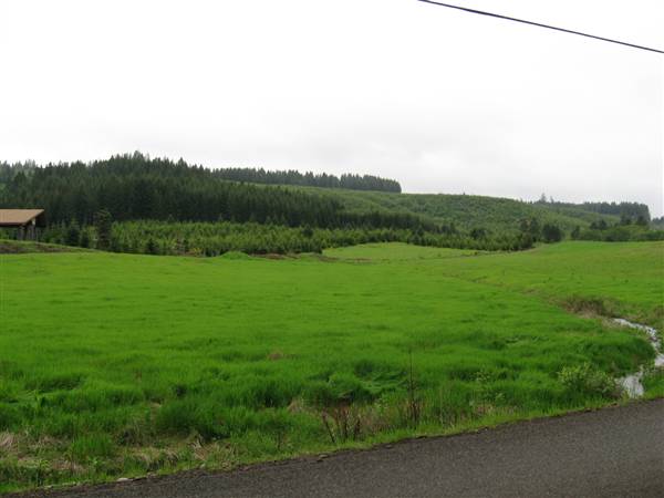 Silver Falls State Park (6/8/2010 - Credits: J Ridley)