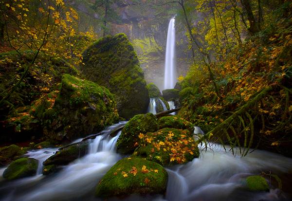 Silver Falls State Park (9/22/2010)