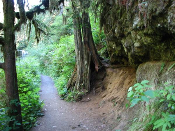 Silver Falls State Park (8/24/2011)