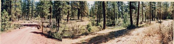 Metolius River (9/7/2006 6:49:57 PM)