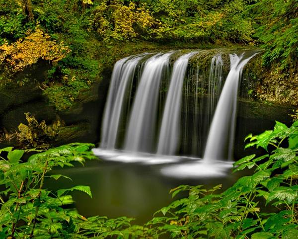 Butte Creek Falls (2/27/2013)