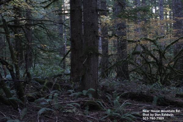 Silver Falls State Park (10/5/2015)