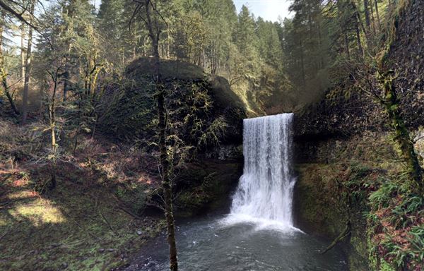 Silver Falls State Park (5/6/2019)