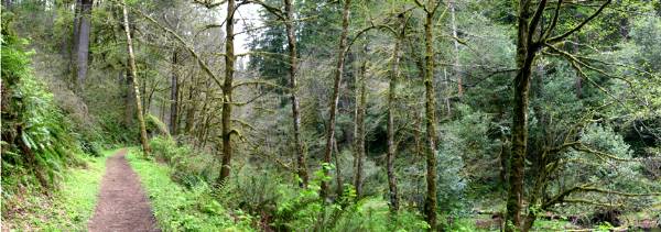 Golden and Silver Falls State Natural Area (4/20/2006 - Credits: Matt Petras)