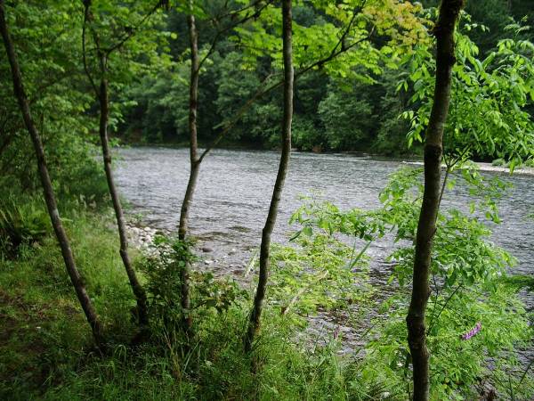 Sandy River (6/4/2007)