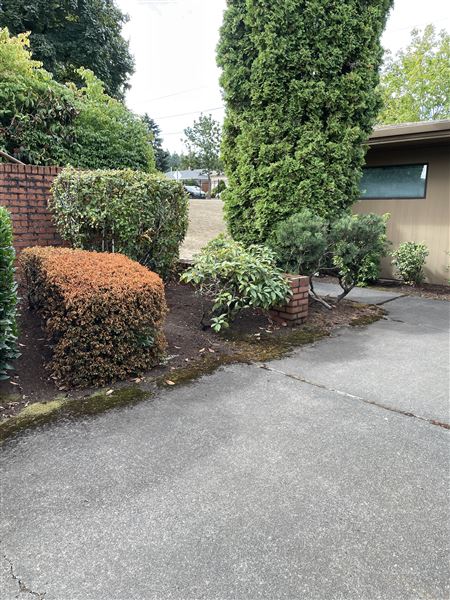Linfield University - Portland Campus - Nursing - School Campus (9/20/2023 - Credits: Mercedes Rose)