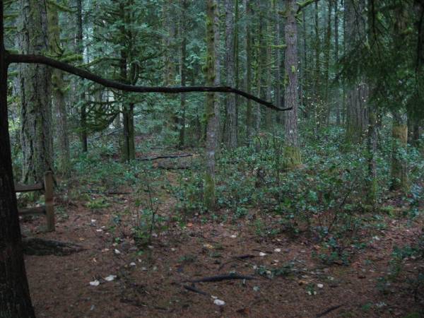 Oxbow Park (11/3/2008 - Credits: Bob Schmaling)