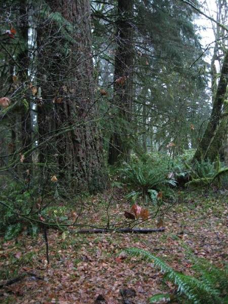 Oxbow Park (11/3/2008 - Credits: Bob Schmaling)
