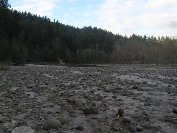 Oxbow Park (1/29/2010)