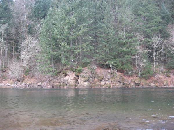 Oxbow Park (1/29/2010)