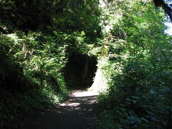 Silver Falls State Park (8/24/2011)