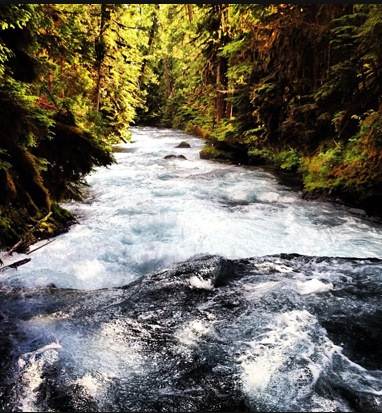 McKenzie River (10/24/2012)