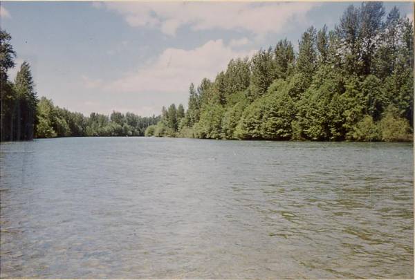 McKenzie River (9/7/2006 6:24:45 PM)