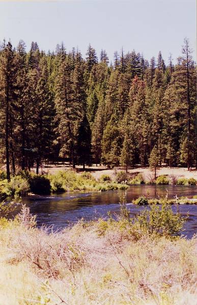 Metolius River (9/7/2006 6:43:30 PM)