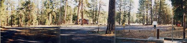 Metolius River (9/7/2006 6:47:24 PM)