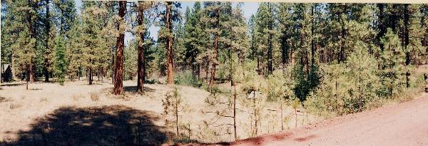 Metolius River (9/7/2006 6:49:57 PM)