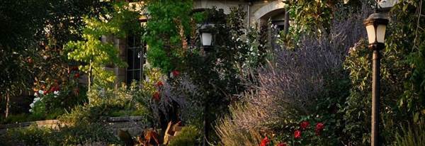 Belle Fiore Winery