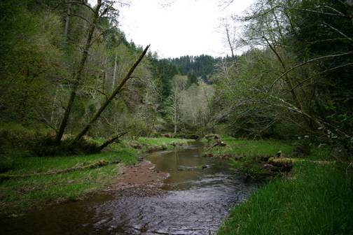 Golden and Silver Falls State Natural Area (4/20/2006 - Credits: Matt Petras)