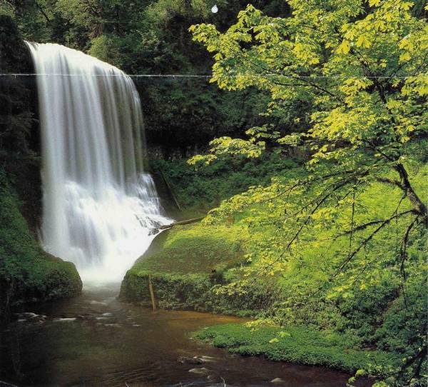 Silver Falls State Park - Middle Creek Falls (6/8/2007)