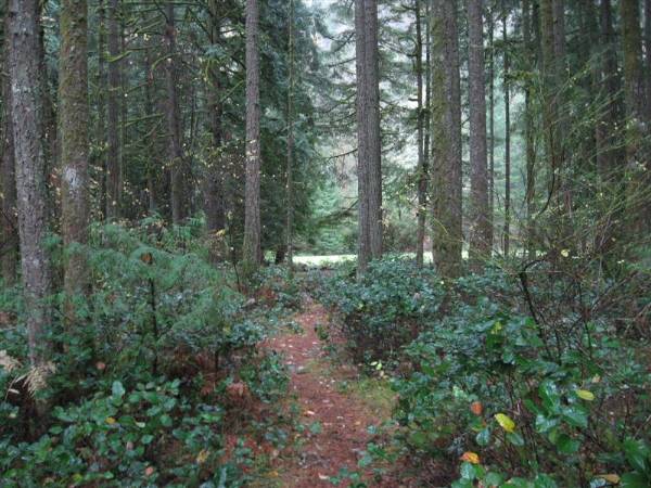 Oxbow Park (11/3/2008 - Credits: Bob Schmaling)