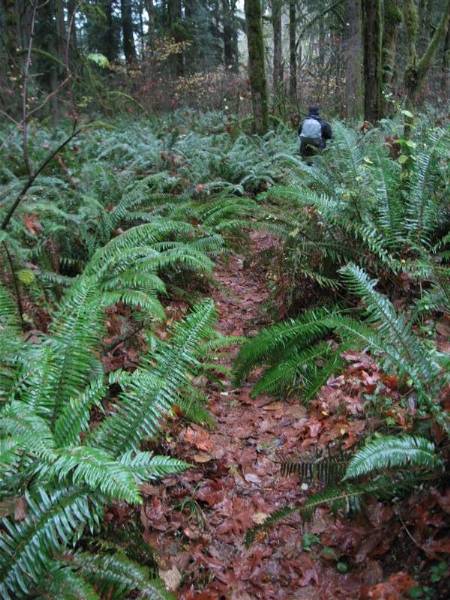 Oxbow Park (11/3/2008 - Credits: Bob Schmaling)