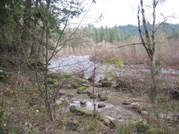 Oxbow Park (1/29/2010)