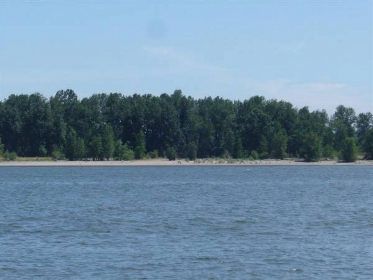 Sauvie Island Collins Beach Locationshub