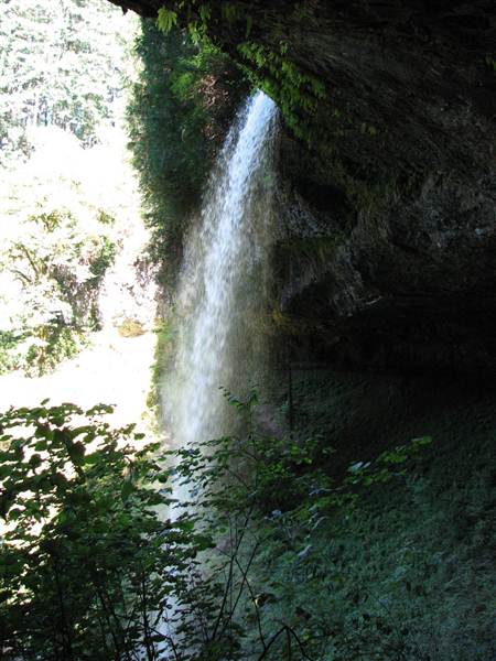 Silver Falls State Park (8/24/2011)