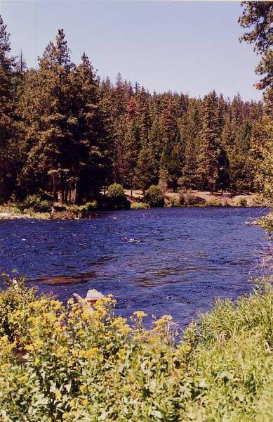 Metolius River (9/7/2006 6:43:30 PM)