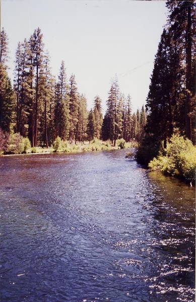Metolius River (9/7/2006 6:44:58 PM)