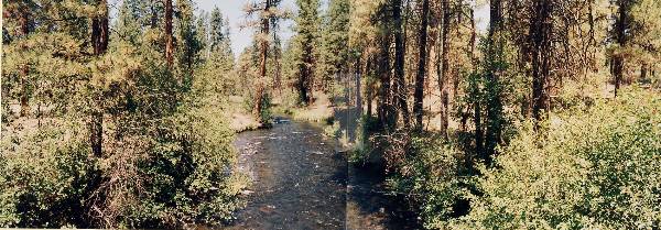 Metolius River (9/7/2006 6:49:58 PM)