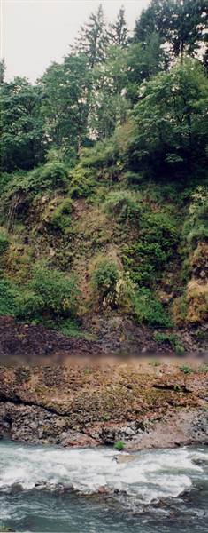 Sandy River (9/11/2006 12:16:47 PM)