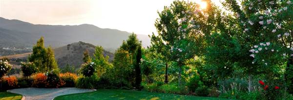 Belle Fiore Winery