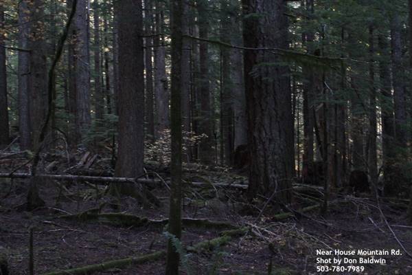 Silver Falls State Park (10/5/2015)