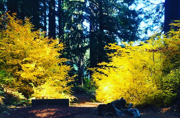 Clear Lake (10/15/2018 - Credits: Sandy Henderson)