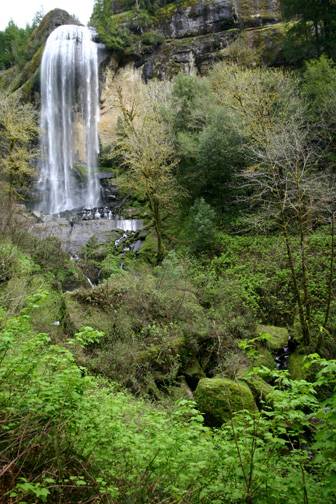 Golden and Silver Falls State Natural Area (4/20/2006 - Credits: Matt Petras)