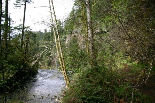 Golden and Silver Falls State Natural Area (6/6/2007)