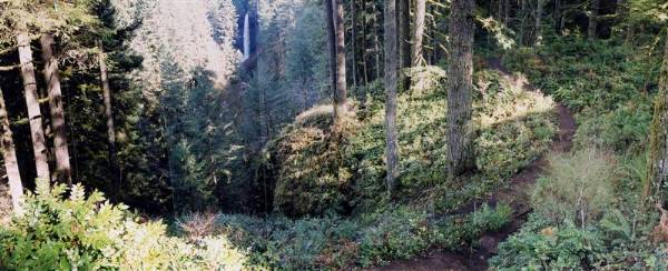 Silver Falls State Park (8/14/2007)