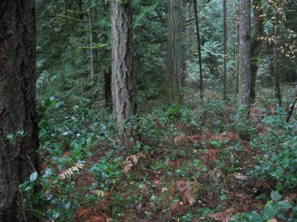 Oxbow Park (11/3/2008 - Credits: Bob Schmaling)