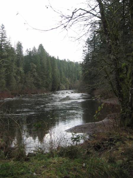 Oxbow Park (1/29/2010)
