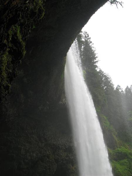 Silver Falls State Park (6/8/2010 - Credits: J Ridley)