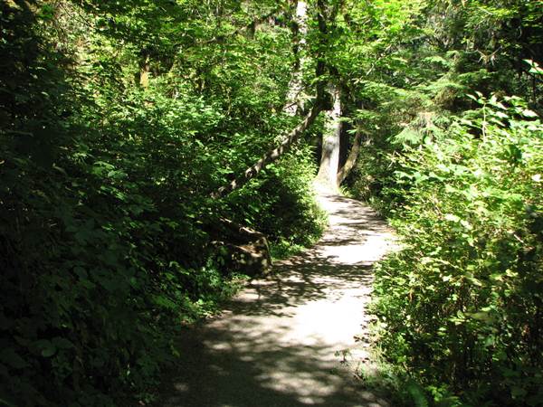Silver Falls State Park (8/24/2011)
