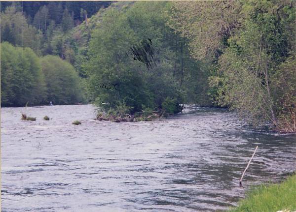 McKenzie River (9/7/2006 6:30:22 PM)