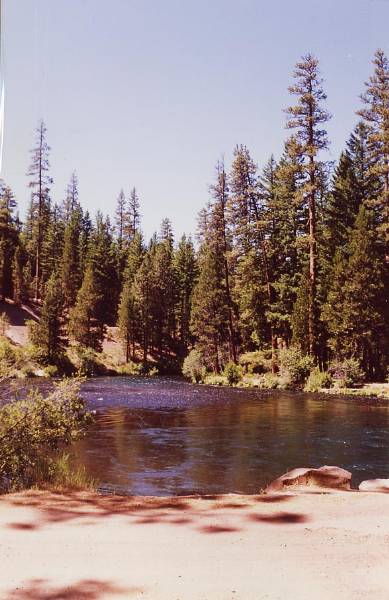 Metolius River (9/7/2006 6:44:59 PM)
